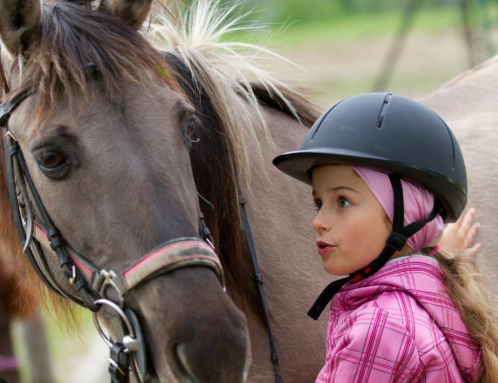 الخيل الخيل