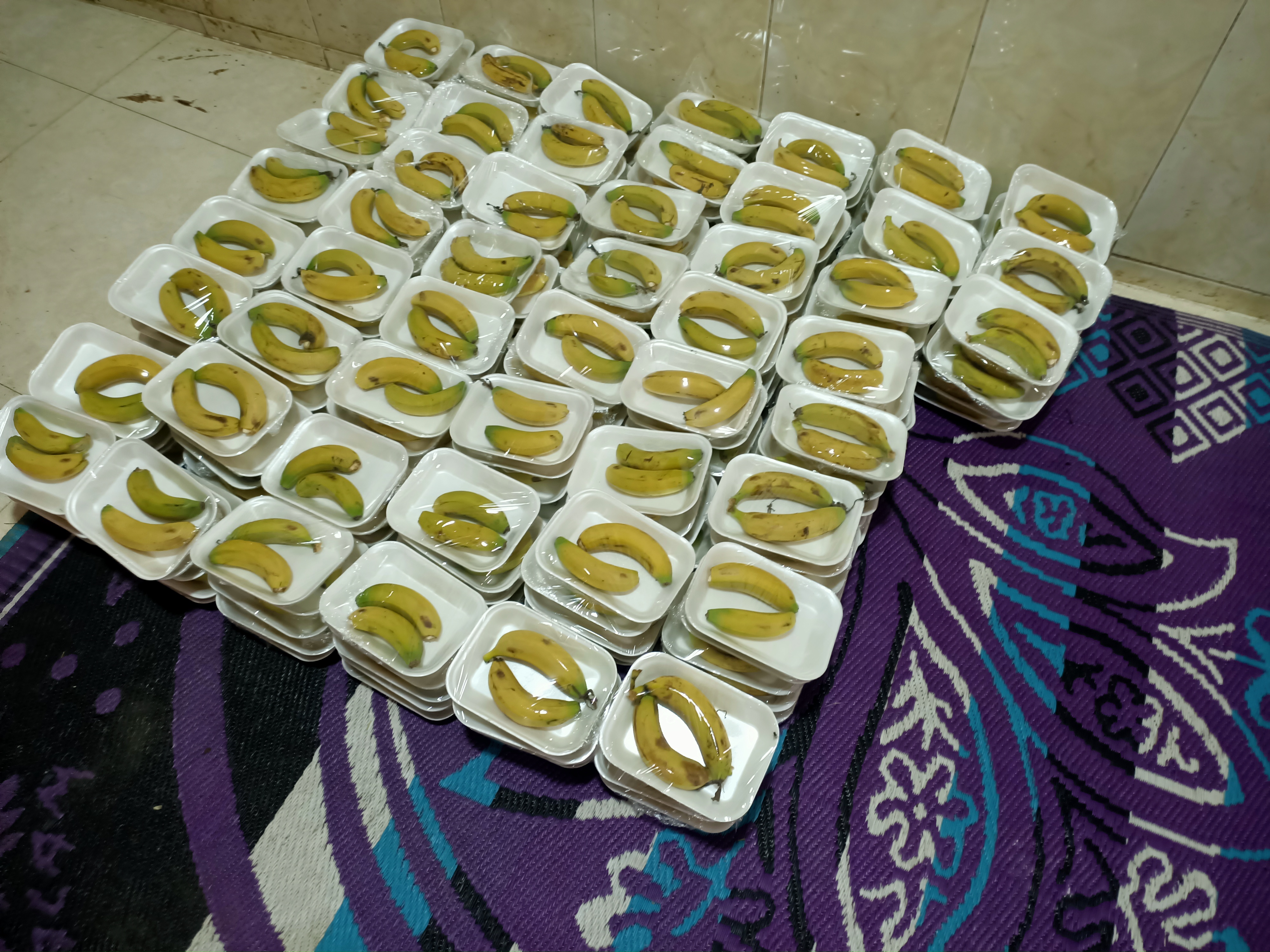 الفاكهة الفاكهة