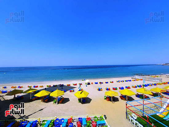 الاهتمام-بلون-الشماسى