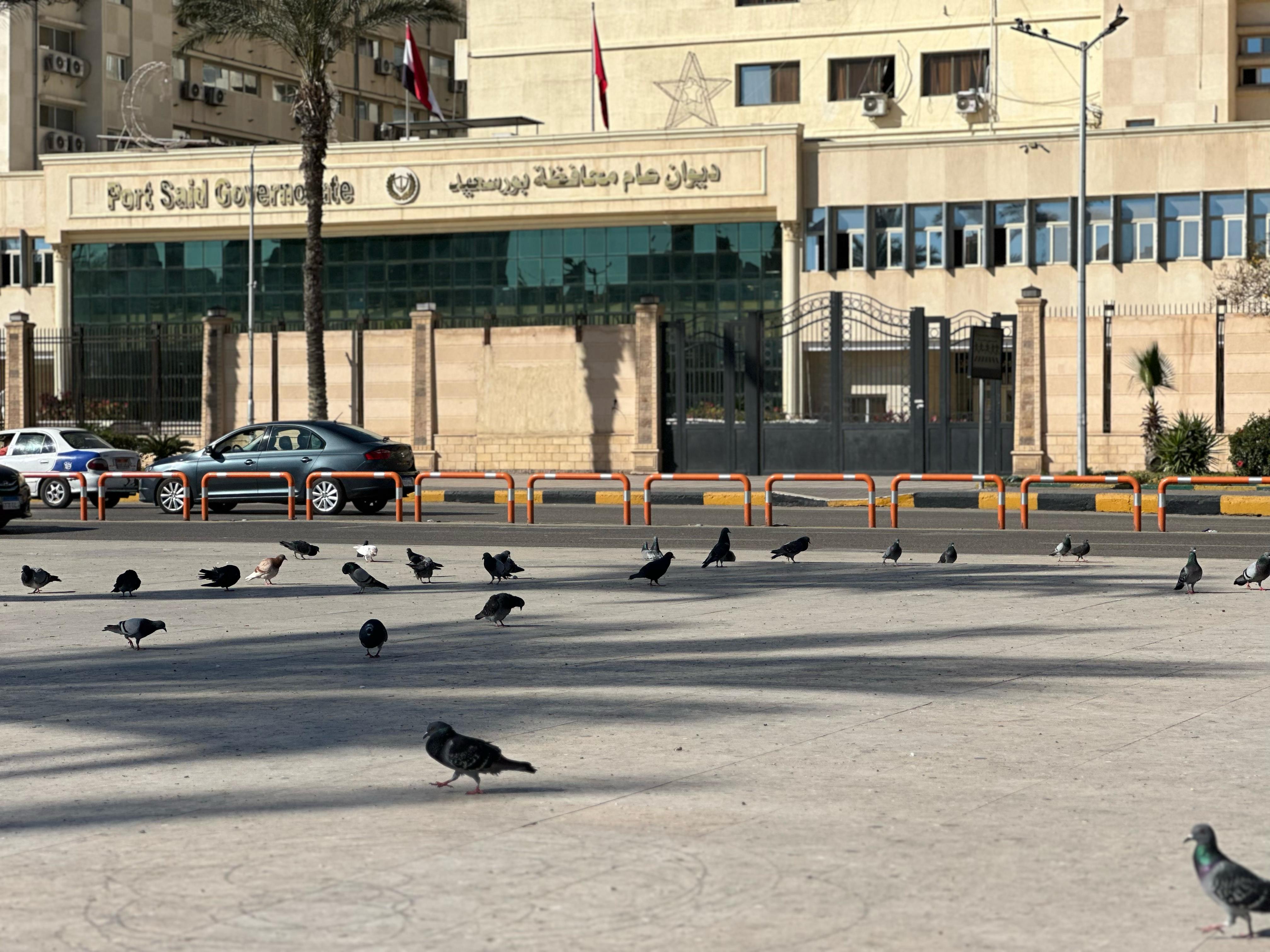 حمام بورسعيد اليوم