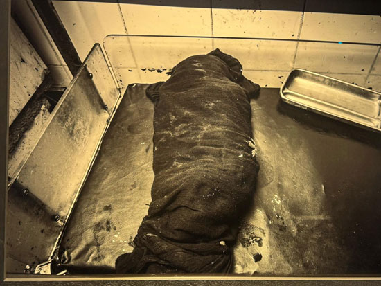 WhatsApp-Image-2025-03-07-at-10.54.52-AM-(2)