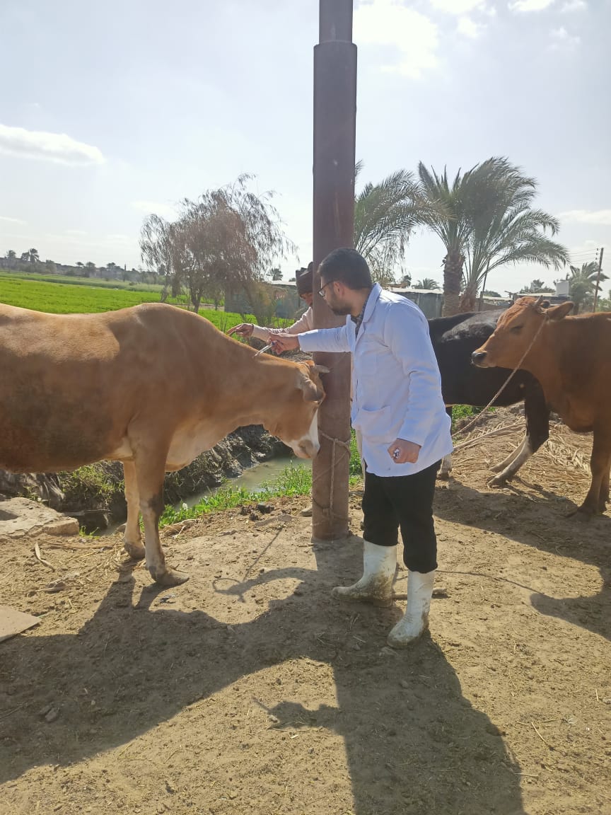 جانب من الحملة