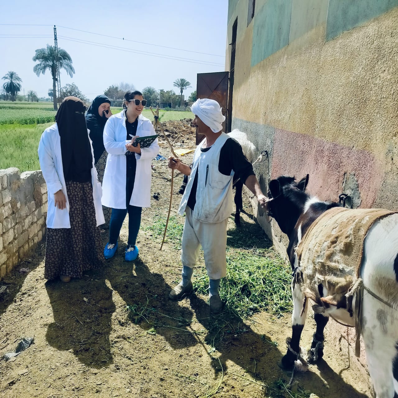 التواصل مع المزارعين