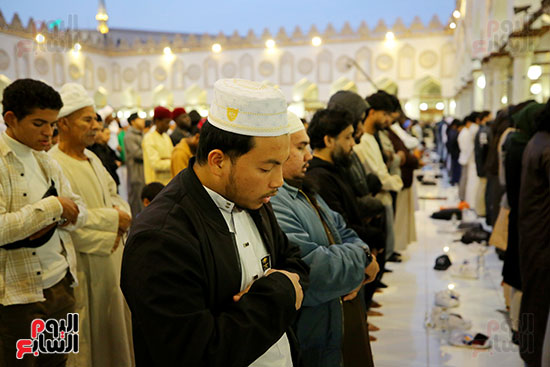 إفطار الأزهر لاشريف (12)