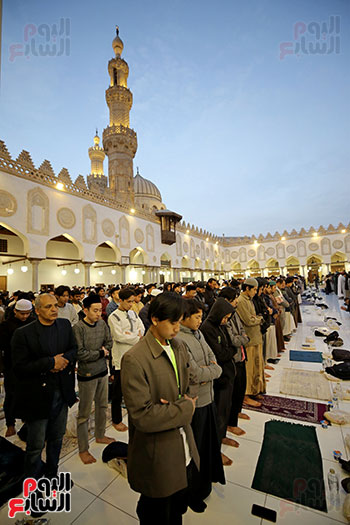 إفطار الأزهر لاشريف (6)