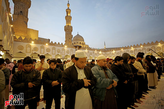 إفطار الأزهر لاشريف (8)