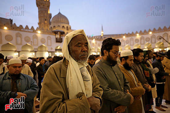إفطار الأزهر لاشريف (9)