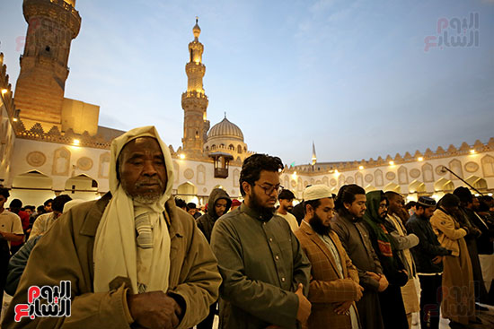 إفطار الأزهر لاشريف (10)