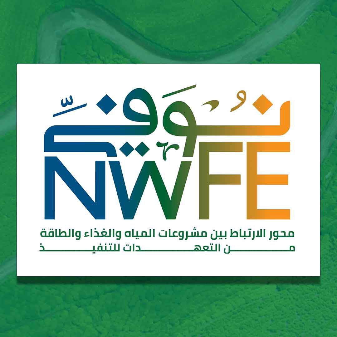 نوفي نوفي