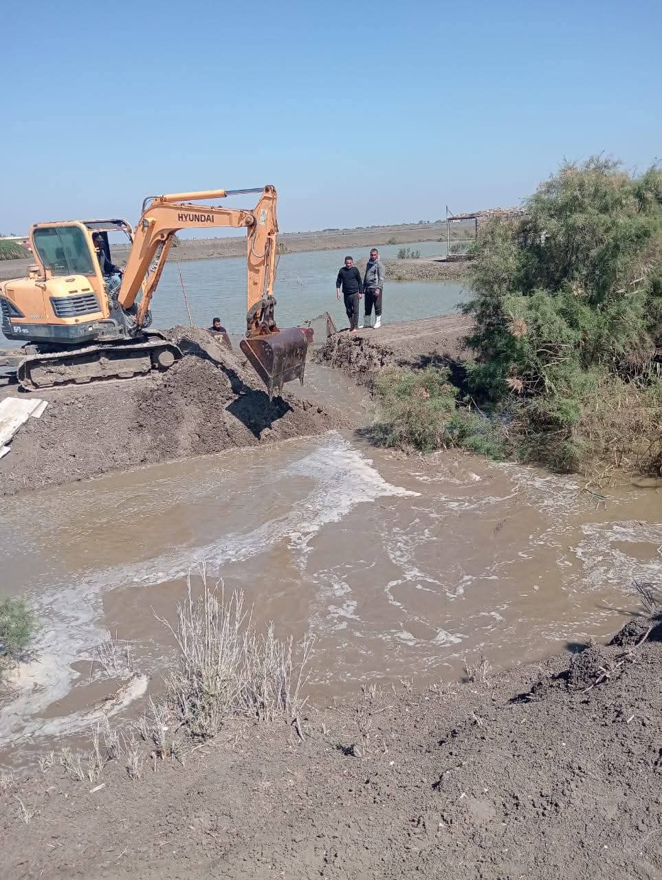 إزالة حالات التعدي