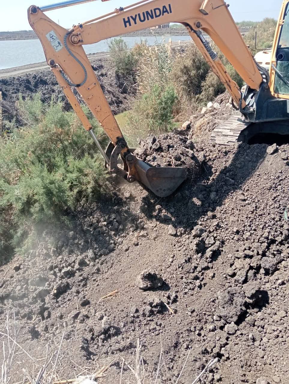 جاني من الإزالة