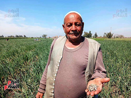 الفلاح-المثالى-بالشرقية