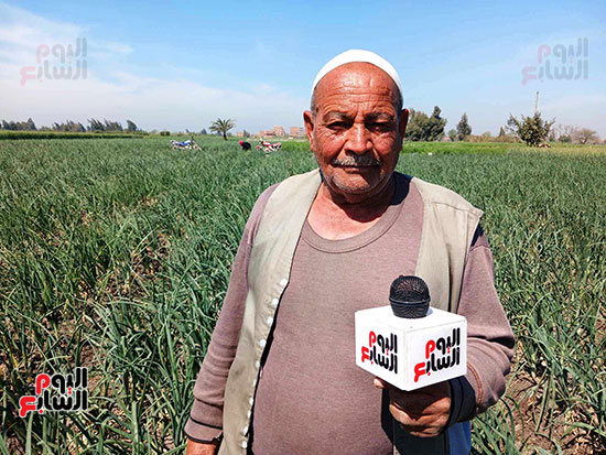 اول-مزارع-يزع-قطن-بالشرقية