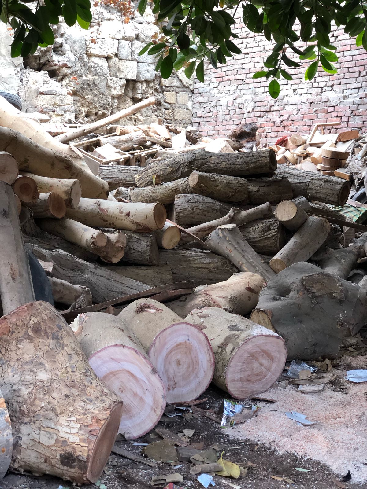 الخشب المستخدم في التصنيع الخشب المستخدم في التصنيع