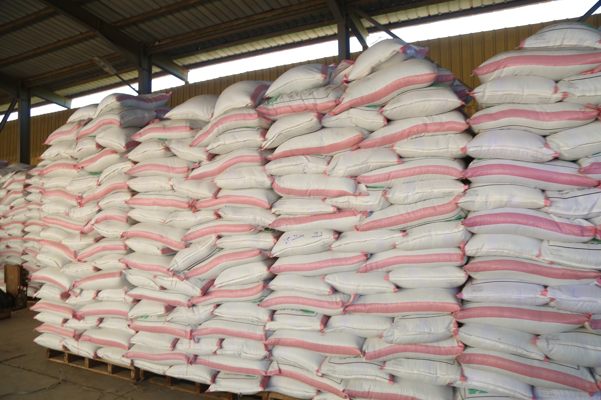 جانب من المخزون من الارز