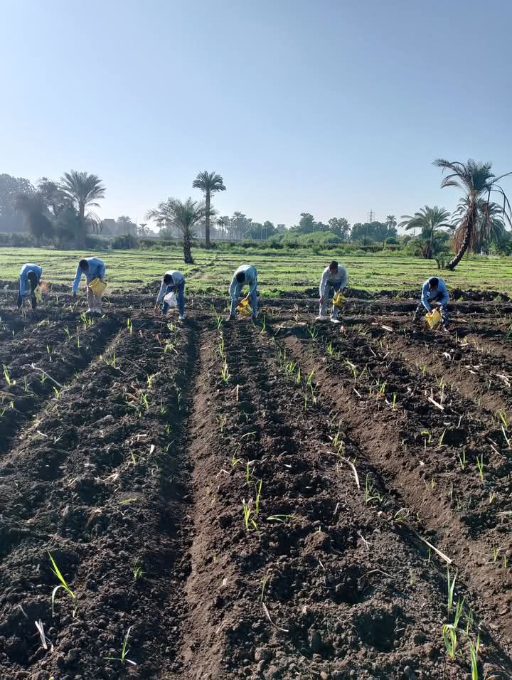 الطلاب أثناء التدريبات العملية الطلاب أثناء التدريبات العملية