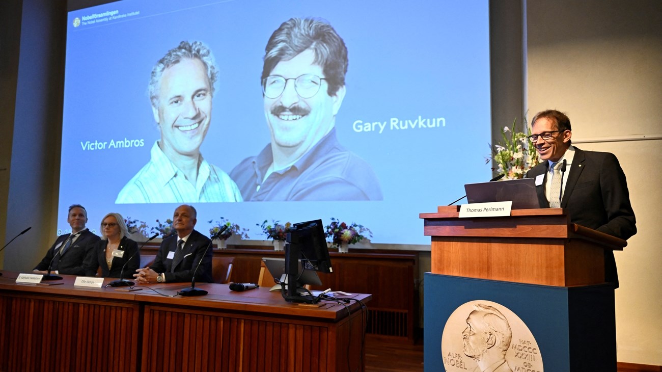 لحظة الإعلان عن جائزة نوبل فى الطب