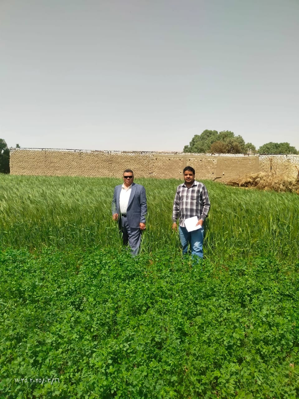 استرداد 537 ألف و240 متر أراضى زراعية ومبانى بمدينة أرمنت