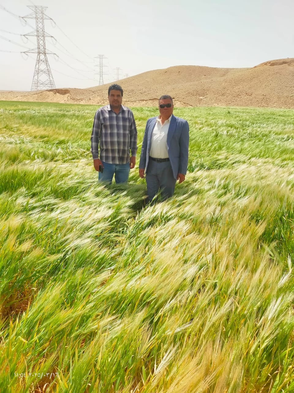 حملات لاسترداد 537 ألف و240 متر أراضى زراعية ومبانى