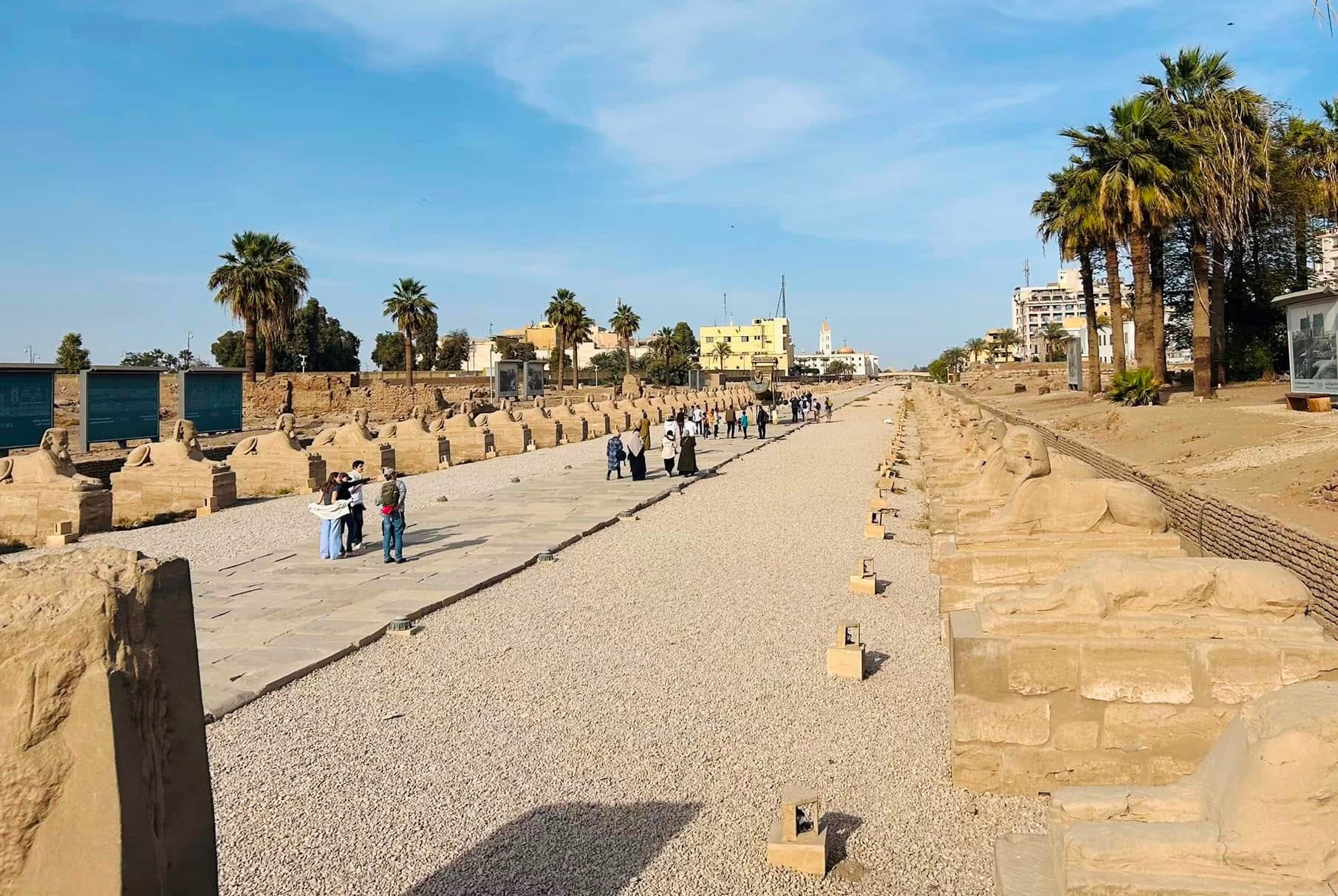 زيارات مميز للسياح فى طريق الكباش