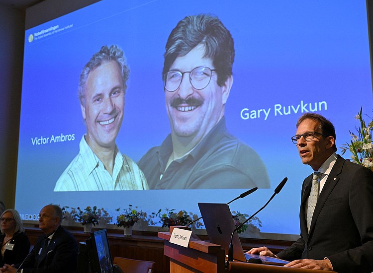 العالمان دكتور جاري رافكون ودكتور فيكتور أمبروس الفائزان بجائزة نوبل فى الطــب