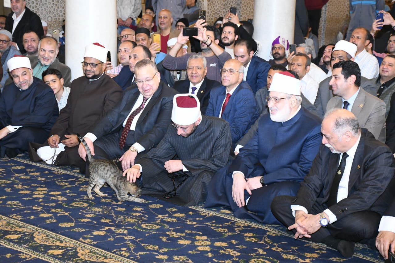 وزير الأوقاف يلاعب قطة وزير الأوقاف يلاعب قطة