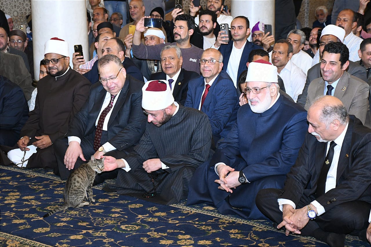 تواجد قطة خلال احتفال وزارة الأوقاف تواجد قطة خلال احتفال وزارة الأوقاف