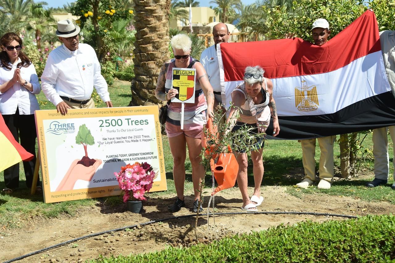 وضع علم بلجيكا واسم عائلتهم على الشجرة وضع علم بلجيكا واسم عائلتهم على الشجرة