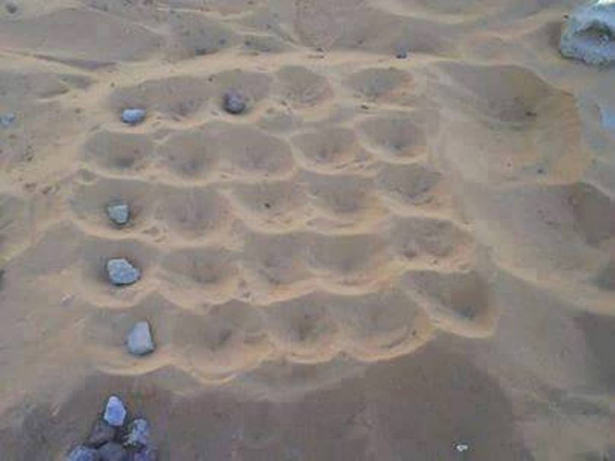 لعب السيجا اشهر لعبة تسالي لكبار السن من البدو في رمضان (2)