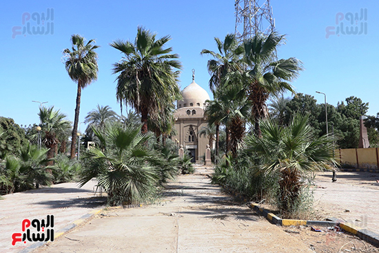 مقبرة-شهداء-معركة-توشكى مقبرة-شهداء-معركة-توشكى