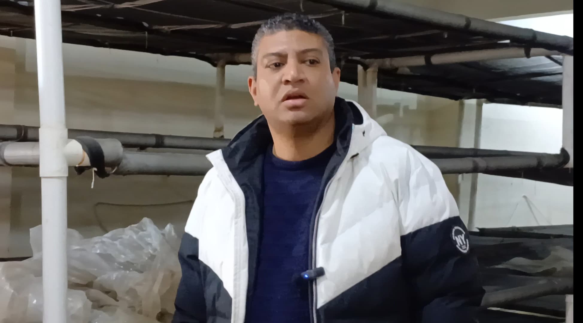 د على ماهر