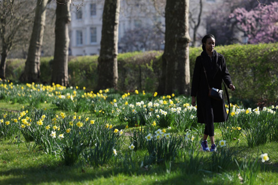 الربيع فى بريطانيا (3)