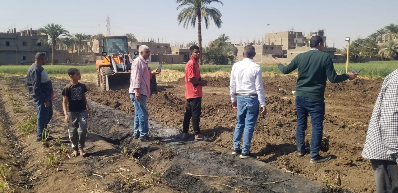 إزالة 3 حالات على مساحة 2 قيراط و150 متر إزالة 3 حالات على مساحة 2 قيراط و150 متر