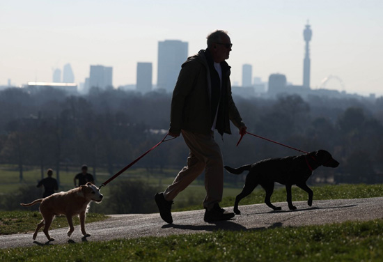 الربيع فى بريطانيا (1)