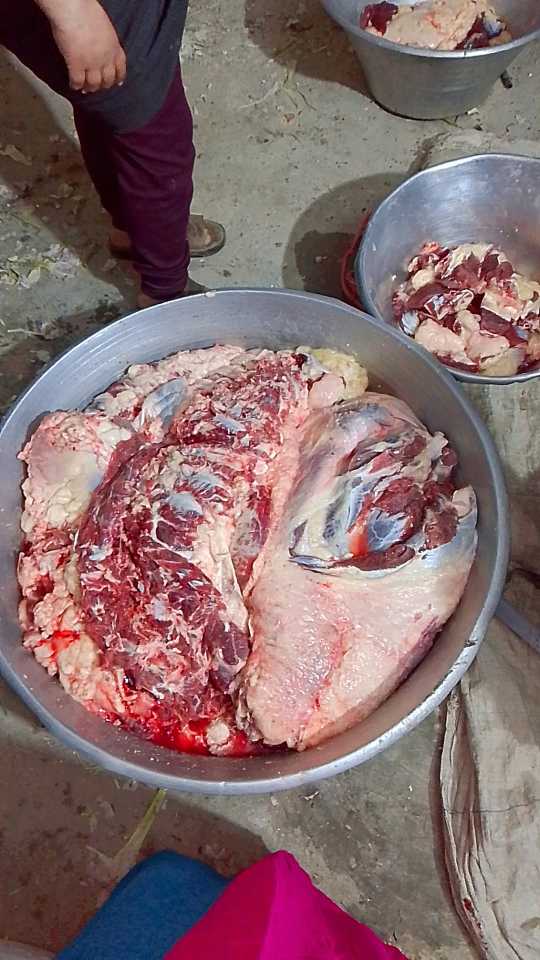 اللحوم اللحوم