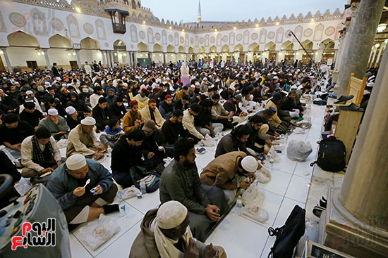 إفطار الأزهر (13)