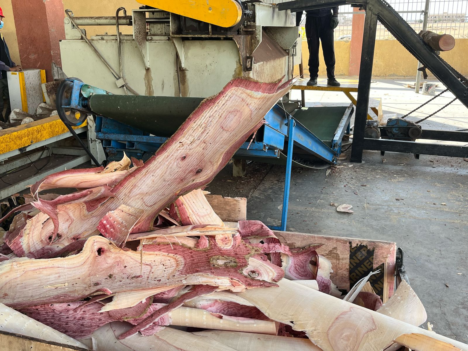 مصنع أخشاب ألواح الكونتر (1)