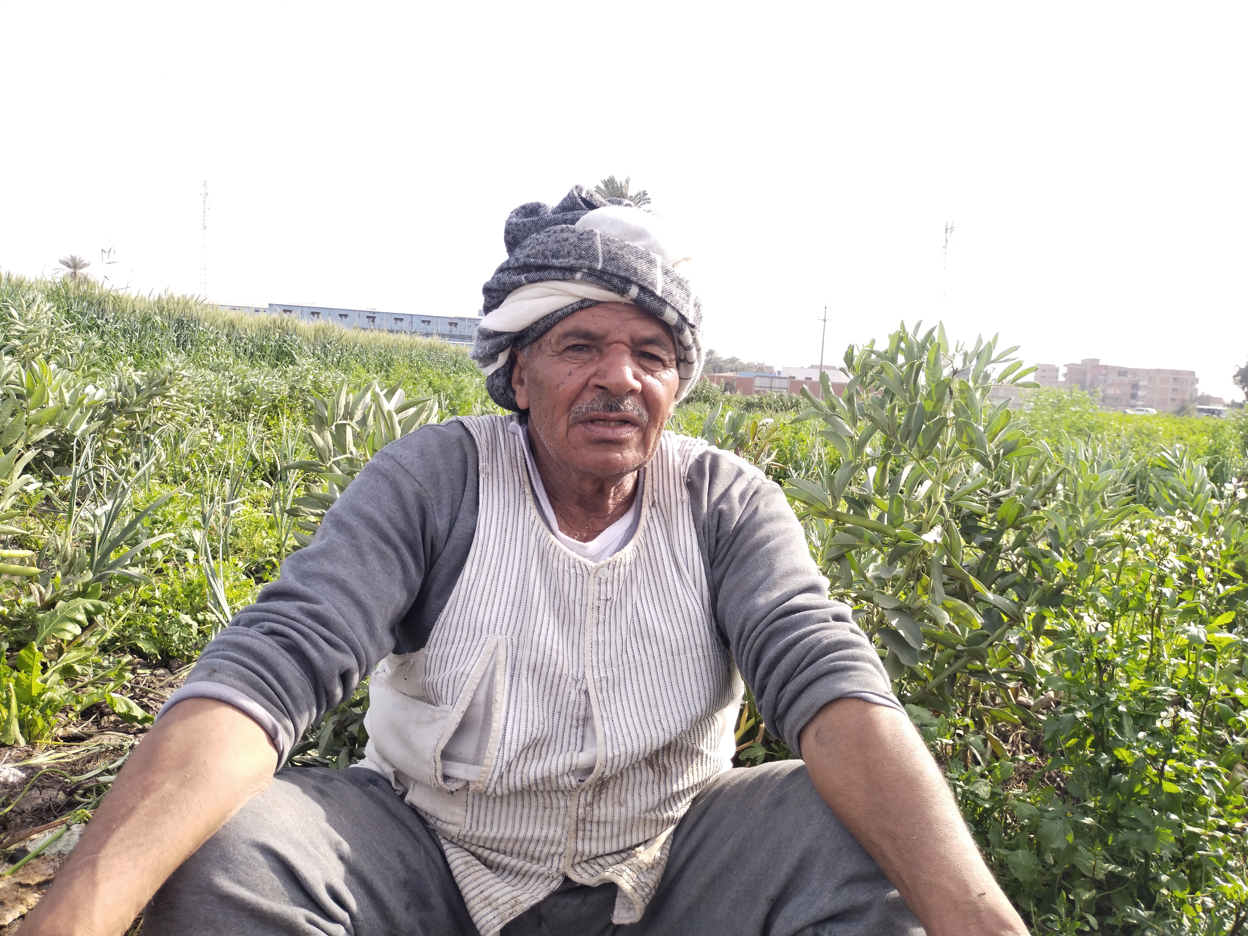 عم أحمد الشواربي عم أحمد الشواربي