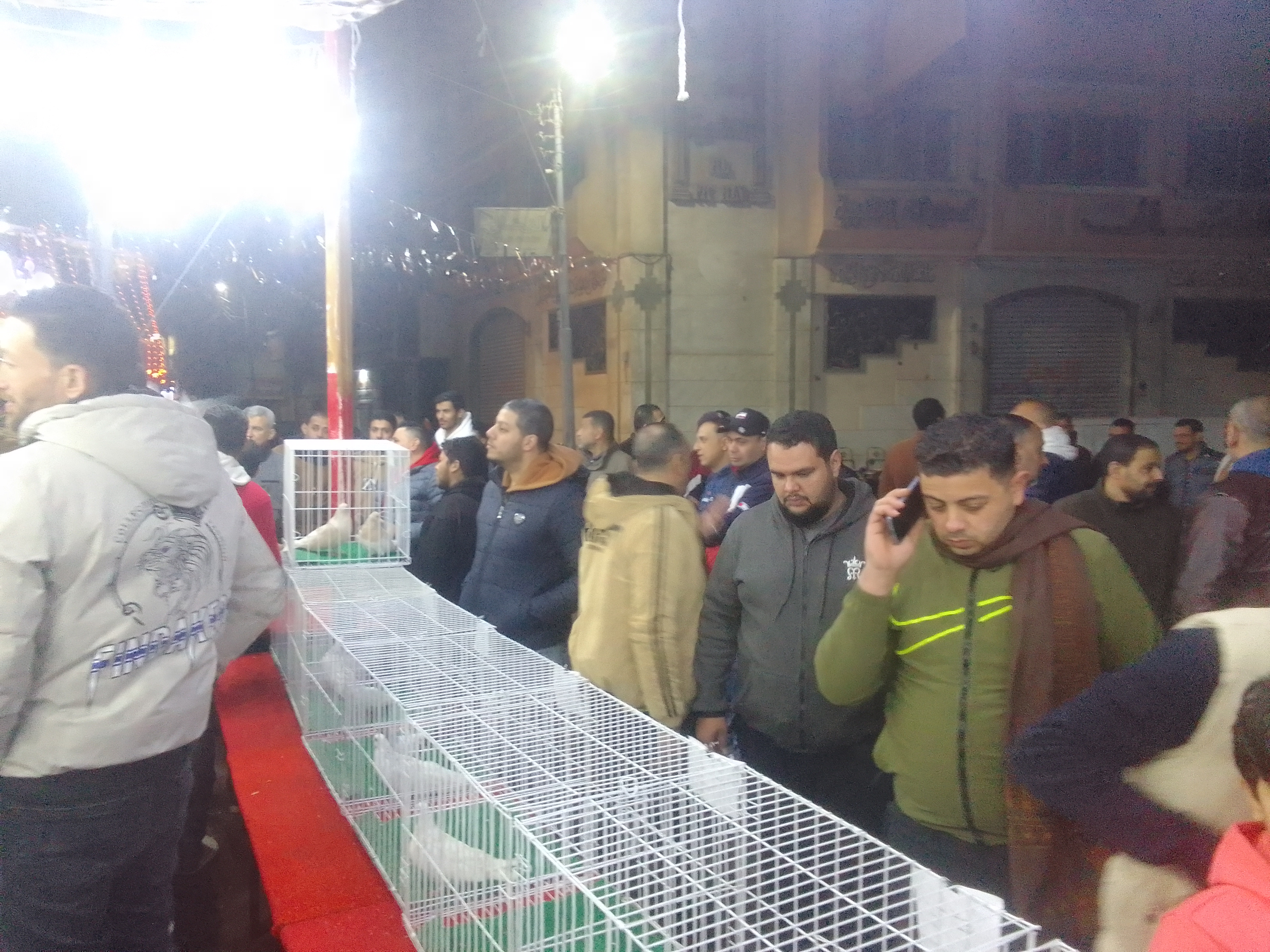 معرض هواة تربية الحمام بدمياط معرض هواة تربية الحمام بدمياط