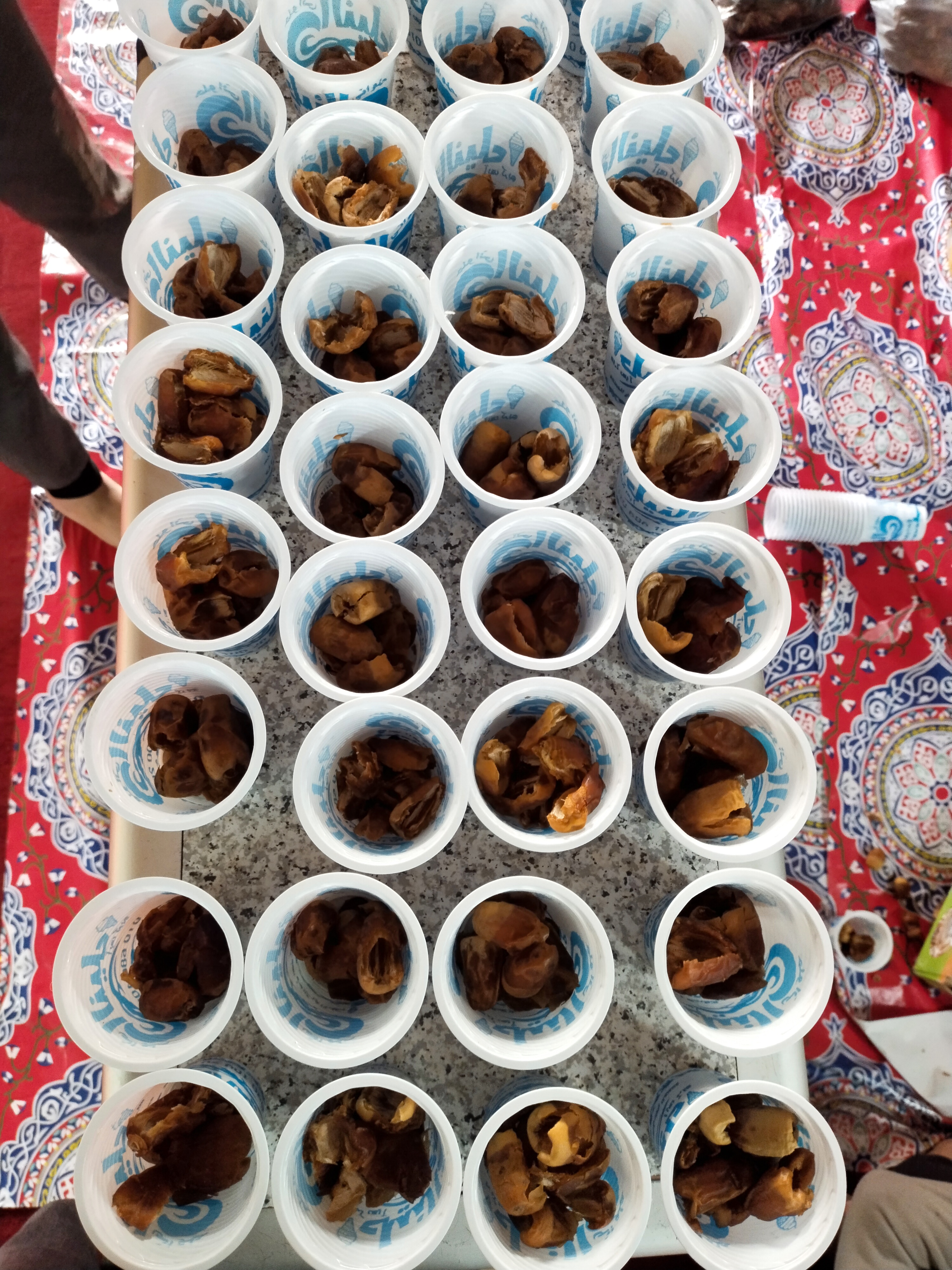 أطفال الخير تجمعوا في شهر الخير (6)