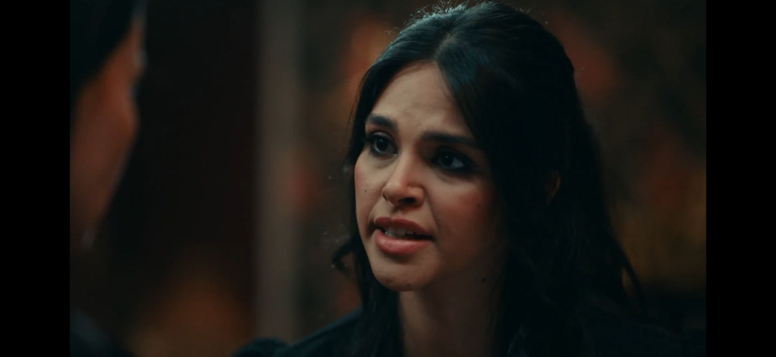 مسلسل حكيم باشا (2)