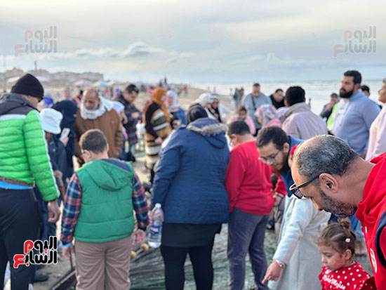 مشاهدة-السمك مشاهدة-السمك