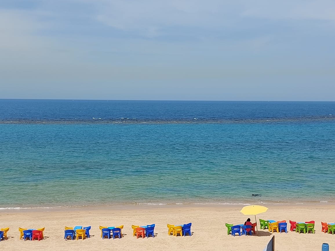 هدوء البحر رغم الرياح هدوء البحر رغم الرياح