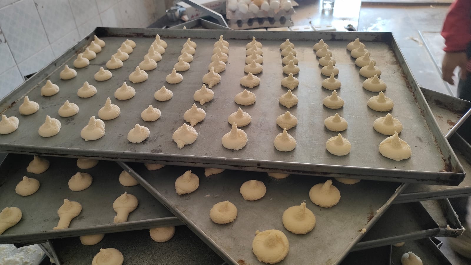 جانب من المنتجات جانب من المنتجات