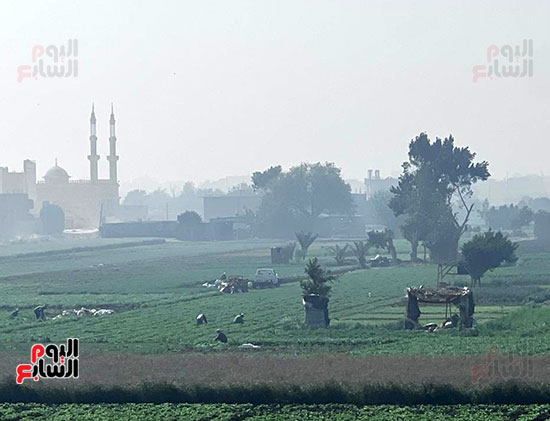 ارتفاع ملحوظ بدرجات الحرارة ونشاط للرياح (13)