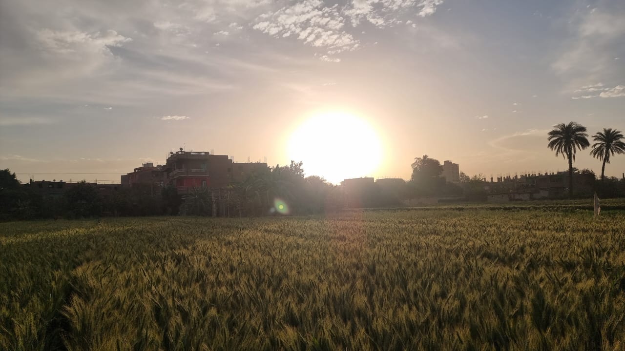  شروق شمس اليوم الجمعة (2)