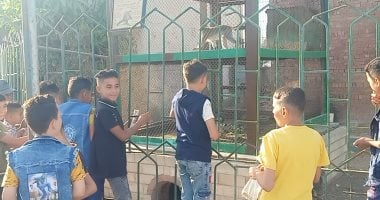 حديقة الحيوان ببنى سويف