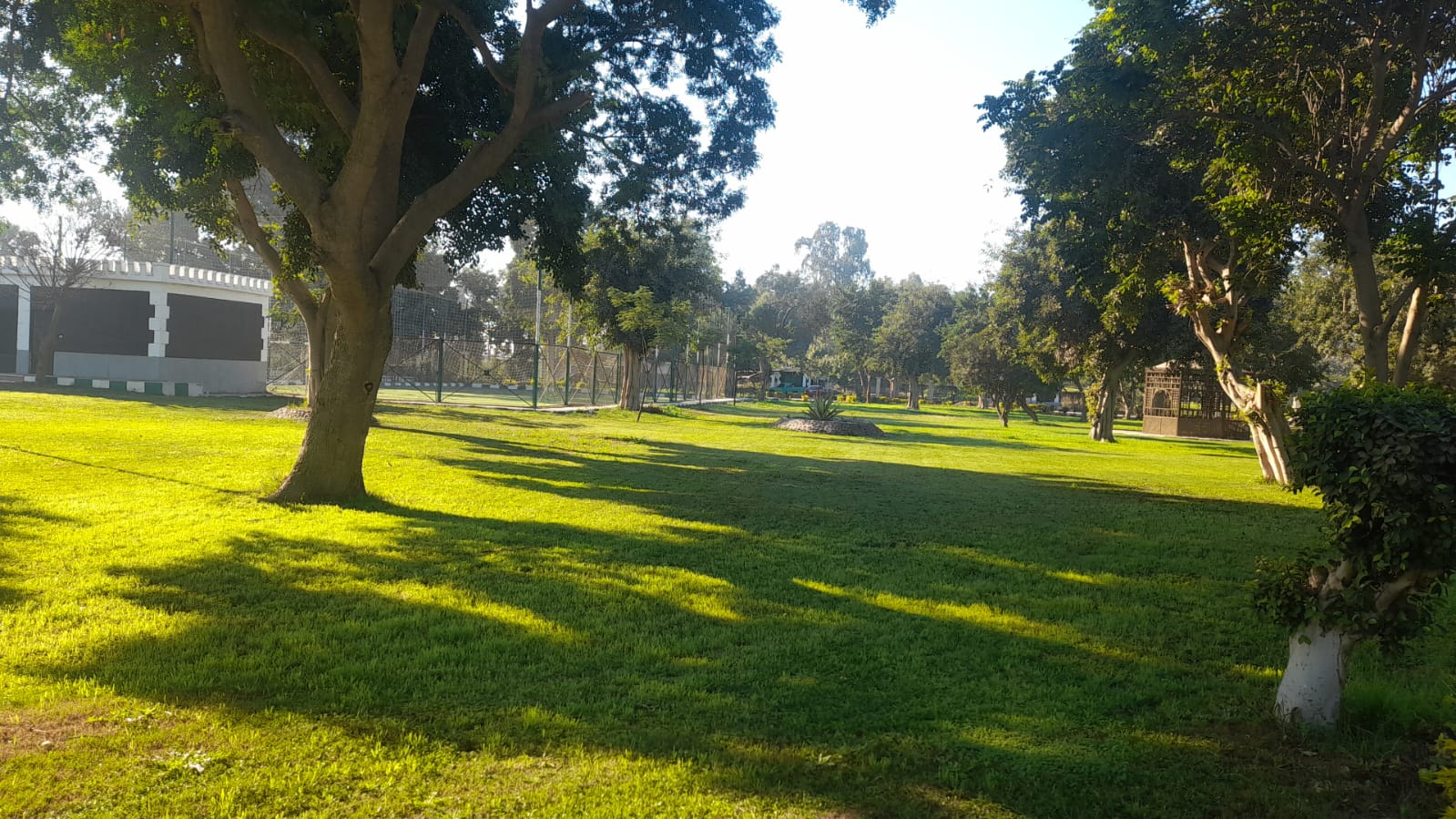 الخضرة الخلابة بالحدائق