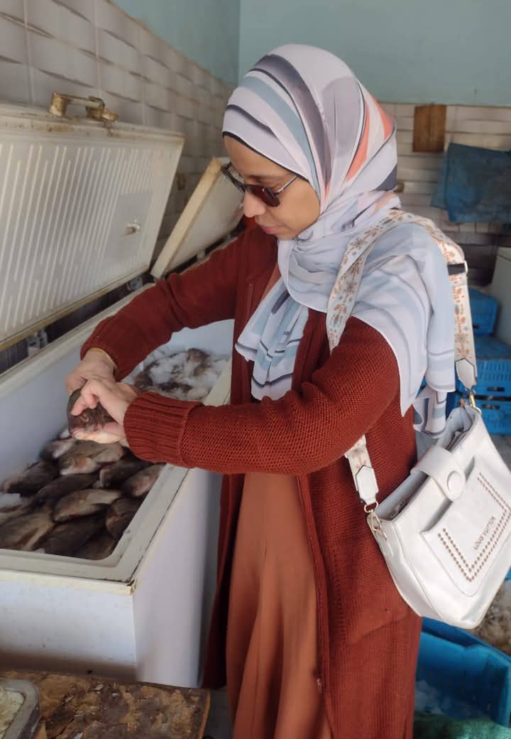 التفتيش علي ثلاجات اللحوم المجمدة التفتيش علي ثلاجات اللحوم المجمدة