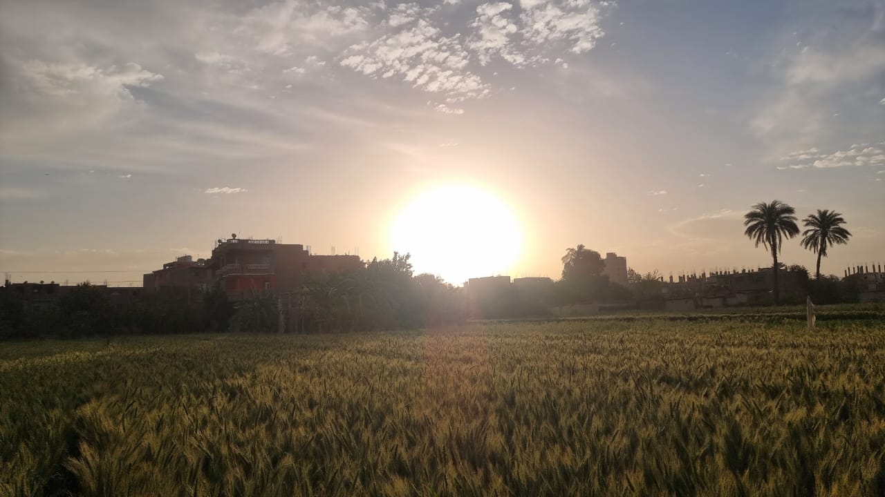  شروق شمس اليوم الجمعة (3)